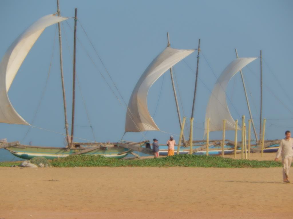 Janishi Residencies Hotel Negombo Bagian luar foto